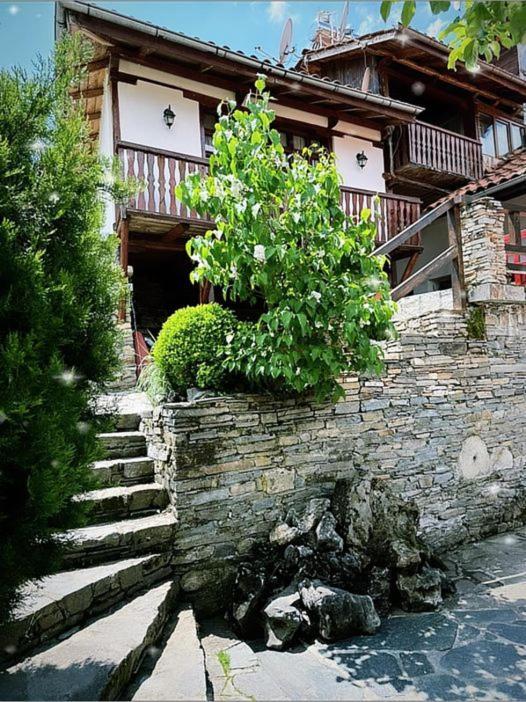 Sharkov Guest House Dolen  Bagian luar foto