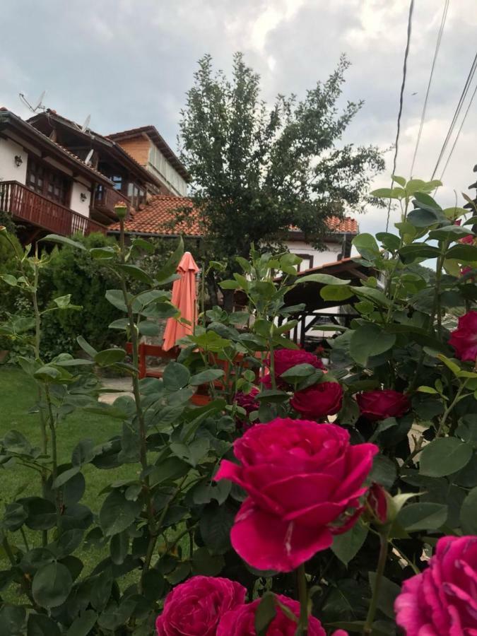 Sharkov Guest House Dolen  Bagian luar foto